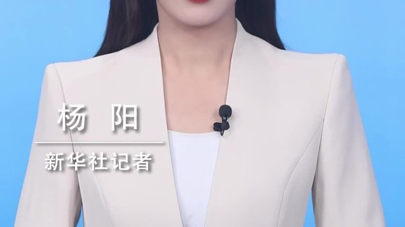 供应链管理软件实施流程：关键步骤与要点解析
